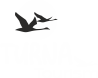 Turna-Tourism-Logo